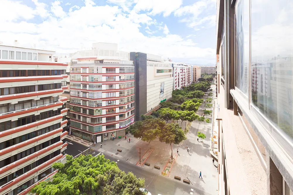 Vistas desde la vivienda a la avenida de Mesa y López con su arbolado.